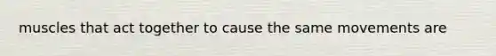 muscles that act together to cause the same movements are