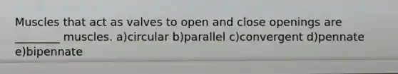 Muscles that act as valves to open and close openings are ________ muscles. a)circular b)parallel c)convergent d)pennate e)bipennate