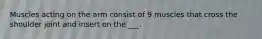 Muscles acting on the arm consist of 9 muscles that cross the shoulder joint and insert on the ___.