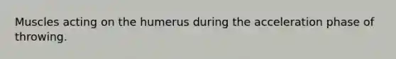 Muscles acting on the humerus during the acceleration phase of throwing.