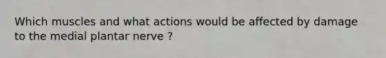 Which muscles and what actions would be affected by damage to the medial plantar nerve ?