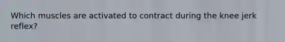 Which muscles are activated to contract during the knee jerk reflex?