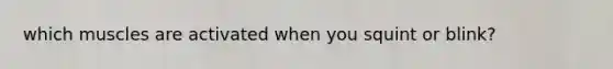 which muscles are activated when you squint or blink?