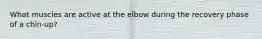 What muscles are active at the elbow during the recovery phase of a chin-up?