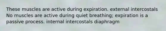 These muscles are active during expiration. external intercostals No muscles are active during quiet breathing; expiration is a passive process. internal intercostals diaphragm