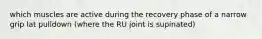 which muscles are active during the recovery phase of a narrow grip lat pulldown (where the RU joint is supinated)