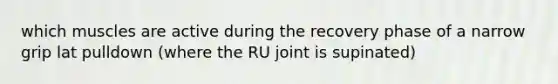 which muscles are active during the recovery phase of a narrow grip lat pulldown (where the RU joint is supinated)