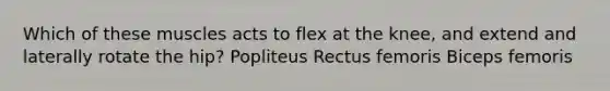 Which of these muscles acts to flex at the knee, and extend and laterally rotate the hip? Popliteus Rectus femoris Biceps femoris