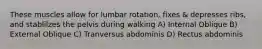 These muscles allow for lumbar rotation, fixes & depresses ribs, and stablilzes the pelvis during walking A) Internal Oblique B) External Oblique C) Tranversus abdominis D) Rectus abdominis