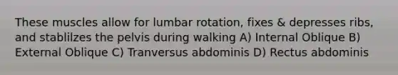 These muscles allow for lumbar rotation, fixes & depresses ribs, and stablilzes the pelvis during walking A) Internal Oblique B) External Oblique C) Tranversus abdominis D) Rectus abdominis