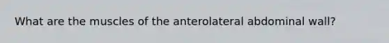 What are the muscles of the anterolateral abdominal wall?