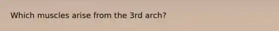 Which muscles arise from the 3rd arch?