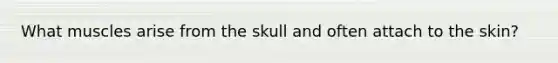 What muscles arise from the skull and often attach to the skin?