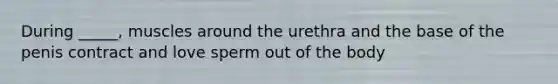 During _____, muscles around the urethra and the base of the penis contract and love sperm out of the body