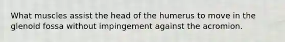 What muscles assist the head of the humerus to move in the glenoid fossa without impingement against the acromion.