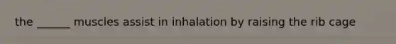 the ______ muscles assist in inhalation by raising the rib cage