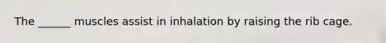 The ______ muscles assist in inhalation by raising the rib cage.