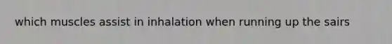 which muscles assist in inhalation when running up the sairs
