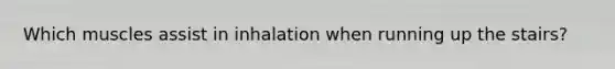 Which muscles assist in inhalation when running up the stairs?