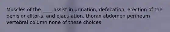 Muscles of the ____ assist in urination, defecation, erection of the penis or clitoris, and ejaculation. thorax abdomen perineum vertebral column none of these choices