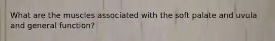 What are the muscles associated with the soft palate and uvula and general function?