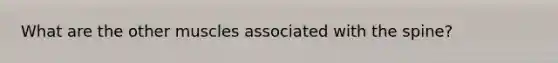 What are the other muscles associated with the spine?