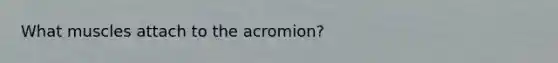 What muscles attach to the acromion?