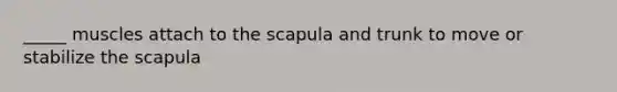 _____ muscles attach to the scapula and trunk to move or stabilize the scapula