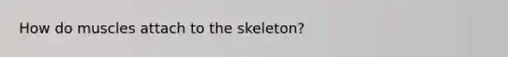 How do muscles attach to the skeleton?