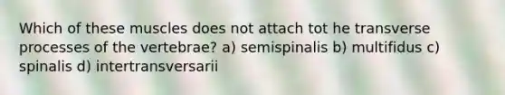 Which of these muscles does not attach tot he transverse processes of the vertebrae? a) semispinalis b) multifidus c) spinalis d) intertransversarii