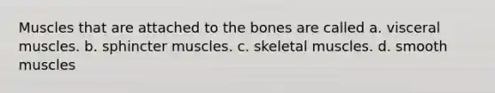 Muscles that are attached to the bones are called a. visceral muscles. b. sphincter muscles. c. skeletal muscles. d. smooth muscles