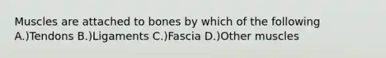 Muscles are attached to bones by which of the following A.)Tendons B.)Ligaments C.)Fascia D.)Other muscles