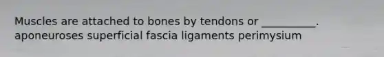 Muscles are attached to bones by tendons or __________. aponeuroses superficial fascia ligaments perimysium