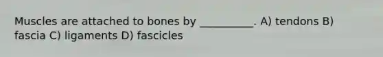 Muscles are attached to bones by __________. A) tendons B) fascia C) ligaments D) fascicles