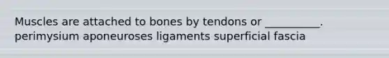 Muscles are attached to bones by tendons or __________. perimysium aponeuroses ligaments superficial fascia