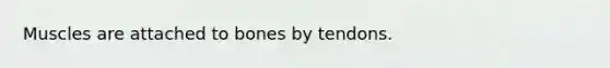 Muscles are attached to bones by tendons.