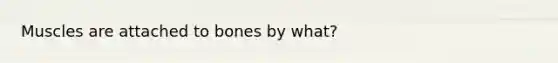 Muscles are attached to bones by what?