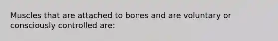 Muscles that are attached to bones and are voluntary or consciously controlled are: