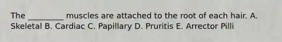The _________ muscles are attached to the root of each hair. A. Skeletal B. Cardiac C. Papillary D. Pruritis E. Arrector Pilli