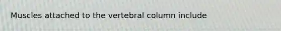 Muscles attached to the vertebral column include