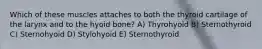 Which of these muscles attaches to both the thyroid cartilage of the larynx and to the hyoid bone? A) Thyrohyoid B) Sternothyroid C) Sternohyoid D) Stylohyoid E) Sternothyroid