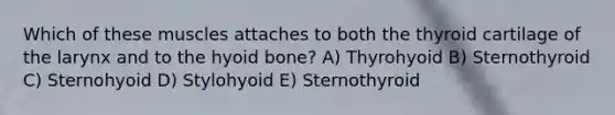 Which of these muscles attaches to both the thyroid cartilage of the larynx and to the hyoid bone? A) Thyrohyoid B) Sternothyroid C) Sternohyoid D) Stylohyoid E) Sternothyroid