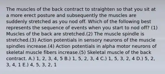 The muscles of the back contract to straighten so that you sit at a more erect posture and subsequently the muscles are suddenly stretched as you nod off. Which of the following best represents the sequence of events when you start to nod off? (1) Muscles of the back are stretched.(2) The muscle spindle is stretched.(3) Action potentials in sensory neurons of the muscle spindles increase.(4) Action potentials in alpha motor neurons of skeletal muscle fibers increase.(5) Skeletal muscle of the back contract. A.) 1, 2, 3, 4, 5 B.) 1, 5, 2, 3, 4 C.) 1, 5, 3, 2, 4 D.) 5, 2, 3, 4, 1 E.) 4, 5, 3, 2, 1