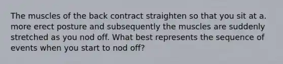 The muscles of the back contract straighten so that you sit at a. more erect posture and subsequently the muscles are suddenly stretched as you nod off. What best represents the sequence of events when you start to nod off?