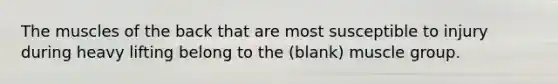 The muscles of the back that are most susceptible to injury during heavy lifting belong to the (blank) muscle group.