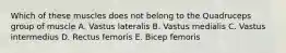Which of these muscles does not belong to the Quadruceps group of muscle A. Vastus lateralis B. Vastus medialis C. Vastus intermedius D. Rectus femoris E. Bicep femoris