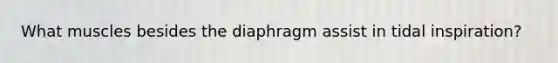 What muscles besides the diaphragm assist in tidal inspiration?