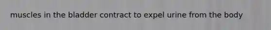 muscles in the bladder contract to expel urine from the body