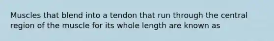 Muscles that blend into a tendon that run through the central region of the muscle for its whole length are known as