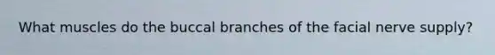 What muscles do the buccal branches of the facial nerve supply?